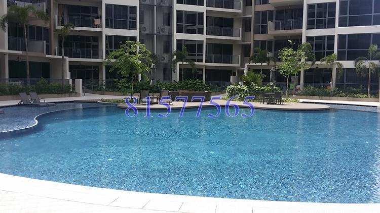 Palm Isles thumbnail photo